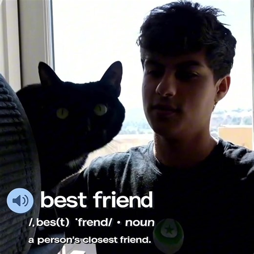 Stable Ronaldo the Cat: Best Burger Moments to Share