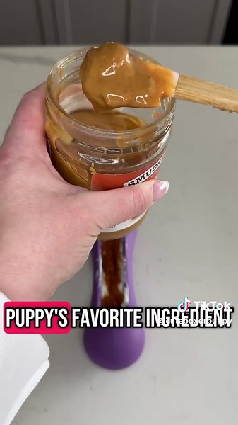 our boxer puppies can’t get enough of this new toy 🥰🐾 #boxerdogs #boxerdog #dogsoftiktok #puppiesoftiktok #petsoftiktok #boxersoftiktok #boxers #doggo #boxerpuppy #boxerdogsoftiktok #creatorsearchinsights