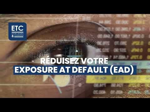 Bâle III : Le Concentration Risk Bond pour maîtriser vos limites de concentration