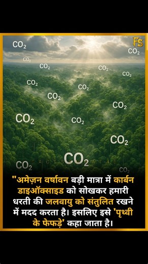 Amazon Rainforest Is Called the Lungs of the Earth! . . The Amazon absorbs massive amounts of carbon dioxide and helps regulate our planet’s climate. Its vital role in producing oxygen and balancing the atmosphere makes it truly Earth’s lungs. Did you know how much the Amazon contributes to your next breath? . . Follow @factsamrat45 . . #AmazonRainforest #LungsOfTheEarth #MindBlown #DidYouKnow #UnrealFacts #ClimateFacts #EarthScience #NatureReels #CrazyTruths #EnvironmentMatters #amazon #rainfor