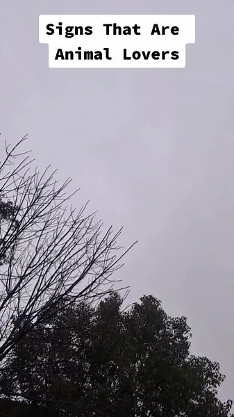 Reaserch Based ❤ #zodiacsigns #zodiac #viral #fyp #foryoupage