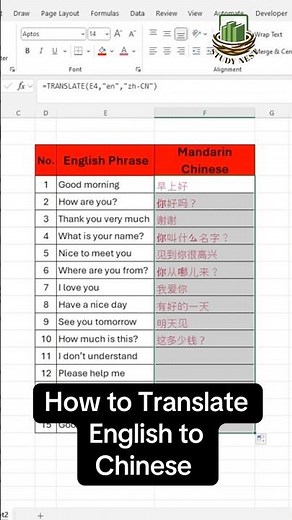 Translate English to Mandarin Chinese in Excel | Excel TRANSLATE Function Tutorial | Study Nest
