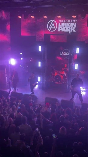Linking Park - Crawling (Tribute by Laav) #linkinpark #live #laav