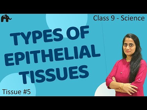 Types of Epithelial Tissues #5| Class 9 Science| CBSE 9th Biology