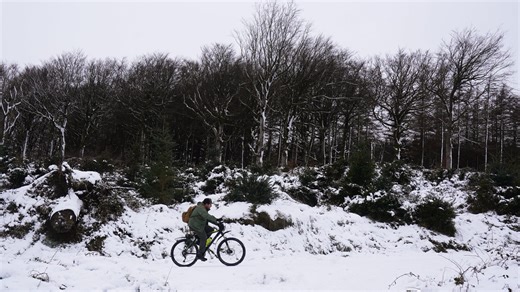 Dublin weather: Schools open late as Met Eireann warn of -6C blast in HOURS