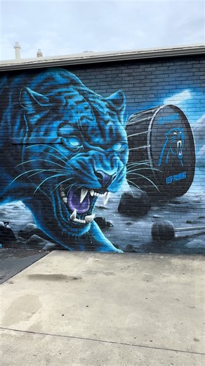 Carolina Panthers: Tough Game Highlights