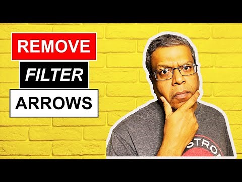 Excel - Hide Filter Arrow Button from Overlapping Text