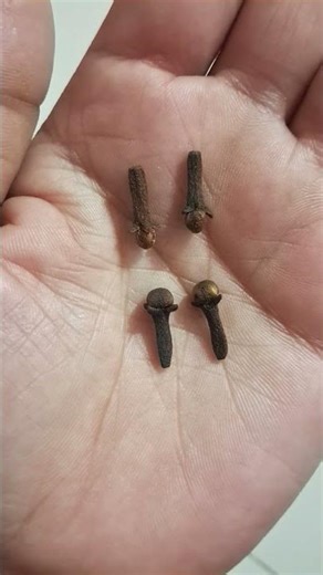 Boys with these four names get beautiful wives # Short Video # Bhaktik Gyan # 15 April 2026