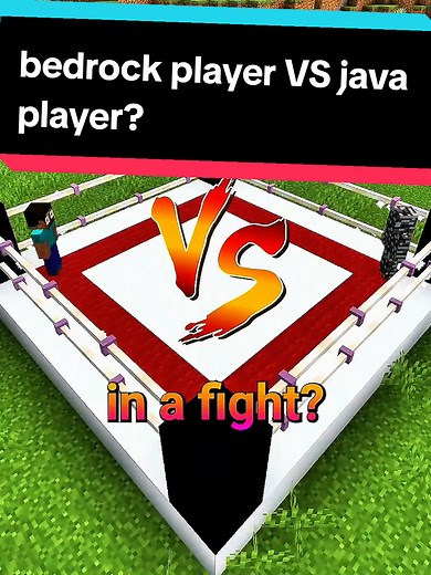 bedrock player VS java player? #minecraftbedrock #minecraftjava #minecraftmemes #fypusa #javavsbedrock