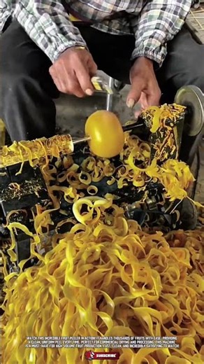 Machine Tool Rotary Peeler to Perfect Peeling Fruit for Commercial Use