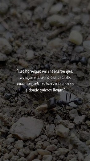 Avanza aunque sea lento: frases para motivar el progreso