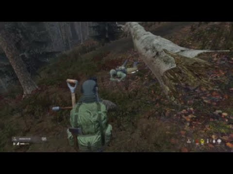 (DayZ) | Death match server