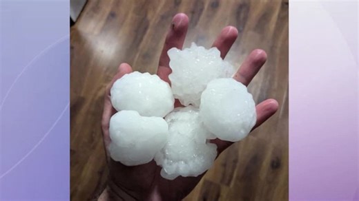 Rock & Tait - Hail damage (March) | Haystack News