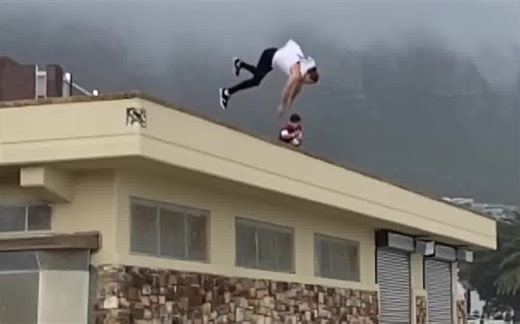 巨大的飞跃-DOMTOMATO