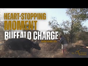 BUFFALO CHARGE | Heart-Stopping Moment! | Kirabo Safaris 2025