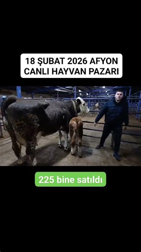 225 bine satılan inek
