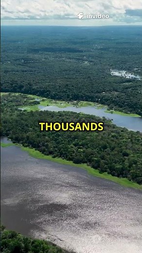 The Amazon Makes Its Own Weather 🌧️🌳 #AmazonRainforest #MindBlowingNature #ClimateFacts
