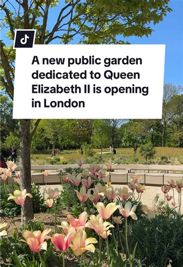 Opening this Monday, a new garden commemorating the life of Queen Elizabeth II is landing in Regent's Park. The garden gives a new lease of life to a disused plant nursery into a gorgeous, blooming two-acre garden 📍Queen Elizabeth II Garden 🚇 The nearest station is Regent's Park #london #londonlife #londontok #londonopenings New London openings London new garden Things to do in London Things to do in London this weekend Free things to do in London