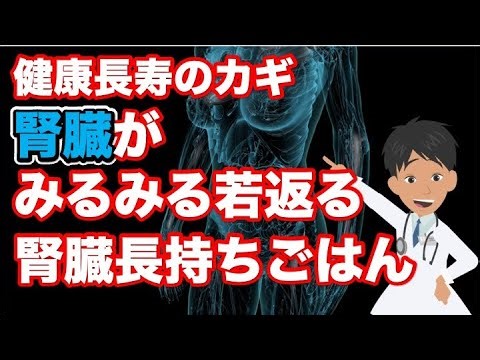 【健康長寿のカギ腎臓がみるみる若返る腎臓長持ちごはん】について現役医師がわかりやすく解説します
