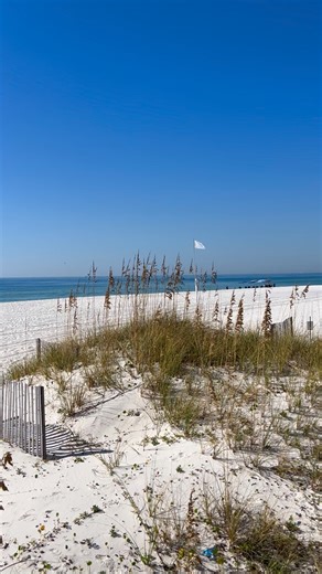 10/16/25 Sunny and 80 degrees in Orange Beach! | Gulf Coast Update