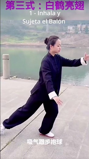 Paso 3 de 24, Yang Tai Chi con instrucciones detalladas