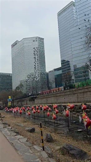 Real Life Magikarp and Gyarados at Cheonggyecheon light festival Seoul Korea