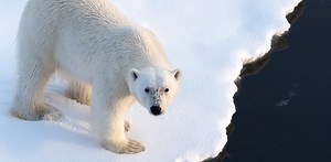 Curious Kids: how is global warming heating up the Earth?