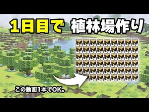 SIMPLEST Starter Tree Farm! No Large Oaks [Minecraft Bedrock & Java 1.21]