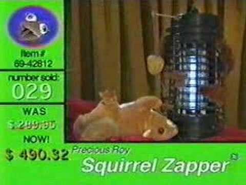 Sifl&Olly - Precious Roy - Squirrel Zapper