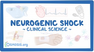 Neurogenic shock: Video & Meaning | Osmosis