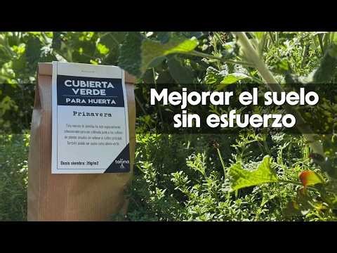 Cómo transformar un suelo pobre en un ecosistema vivo esta primavera