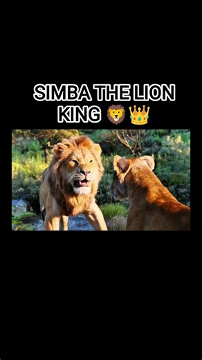 SIMBA THE LION KING 🦁👑#simba #lionkingstory #lionking #thelionking #disneymovies