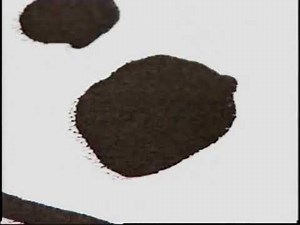 Opening to Peter Pan: Special Edition 2002 VHS (Version #1) (22nd Anniversary)