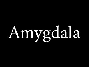 How to Pronounce Amygdala (Brain Term)