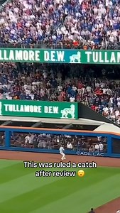 Catch or no catch? (h/t @mlb) | CBS Sports MLB