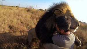 Meet Kevin Richardson - The Lion Whisperer