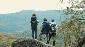 Hikers admire the forest valley landscape view  - Free Stock Video