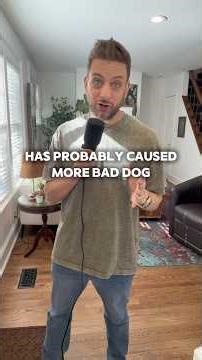 When your dog CHOOSES to DISOBEY…