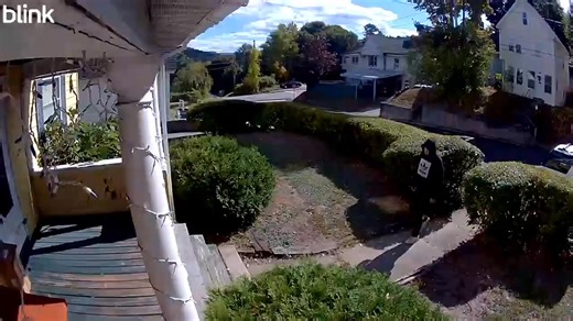 Rumford, ME Police Department on Reels