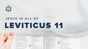 Leviticus 11