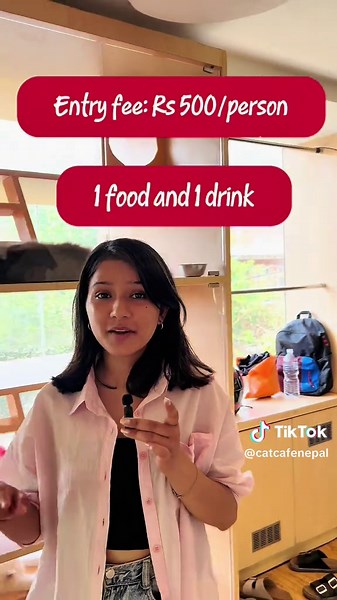 The Ultimate Cat Café Guide for Kathmandu