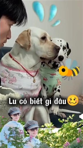 Hỏi thèng Đốm á🥴