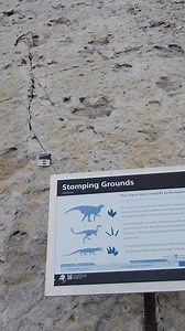 5.5K views · 184 reactions | Colorado History Series #232: Dinosaur...