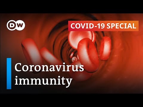 How long does immunity against the coronavirus last? | COVID-19 Special