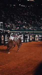 ICYMI - the Stampede buckers were on fire last weekend in Texas! Taking both Sage Newman and 2023 Calgary Stampede Champion Kade Sonnier to $100K wins at The American Rodeo in Arlington, Texas - Dandy Delight and Agent Lynx put up big scores in the final round with 89.5 and 90.5 points respectively. The Stampede bucking horses will round out their Texas run this weekend at Rodeo Houston before heading back north to start the Canadian pro rodeo season! 🎥: Makeline Productions | Calgary Stampede