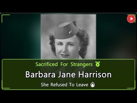 The Stewardess Who Refused To Leave: A Hero's Last Moments ✈️🏅