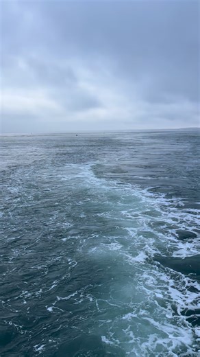 The MV Aquinnah leaving a trail of white this morning on it’s way to Woods Hole... @steamshipma 🎥 by Andrew Rice #marthasvineyard #steamshipauthority #cold #coldwaters | Welcome to Martha's Vineyard