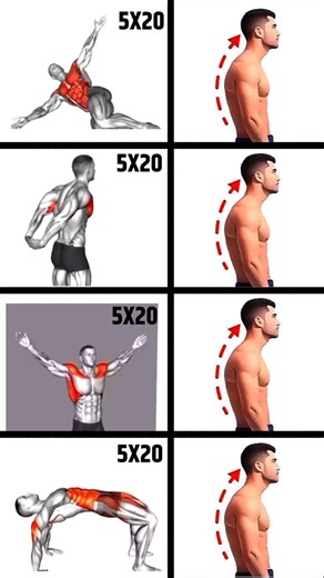 How To Fix Posture | Posture Exercises | Back Workout | Lower Back Pain | Full Body Stretch #shorts