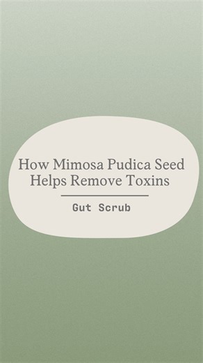 Mimosa Pudica Seed: The Sticky Gut Cleanser 🌿🧽 🧬 Turns Sticky & Gel-Like — when mixed with water, it forms a thick, fibrous gel 🧽 Binds Toxins & Parasites — traps pathogens, biofilm, and waste in the intestines 💧 Supports Detox Pathways — pulls debris out gently through digestion 🔥 Soothes the Gut Lining — no harsh chemicals, just mechanical cleansing 👇👇👇👇👇 Want the FREE Gut Scrub parasite guide 20% OFF to get started? Comment ‘deworm’ and we’ll send it over 😊 Parasites are the cause