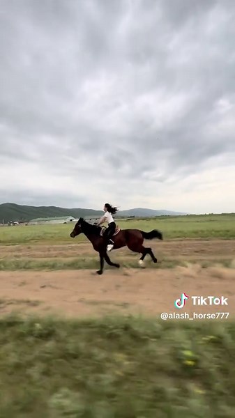 Бөпе: Рекомендации для Успеха